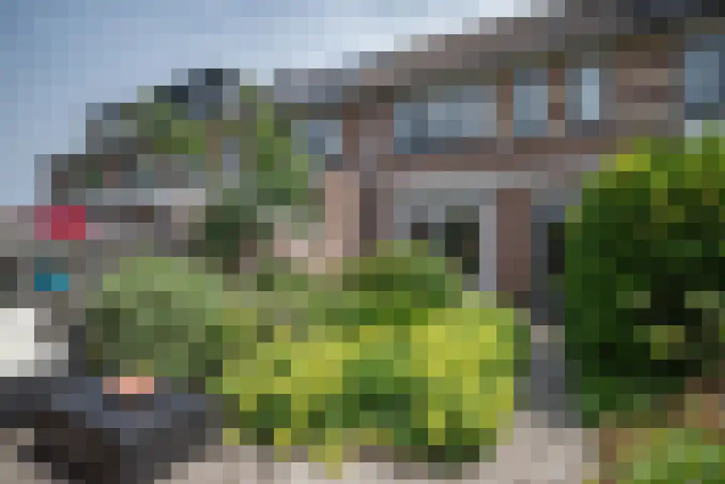 Grote Beer 6 Bleiswijk thumbnail 38