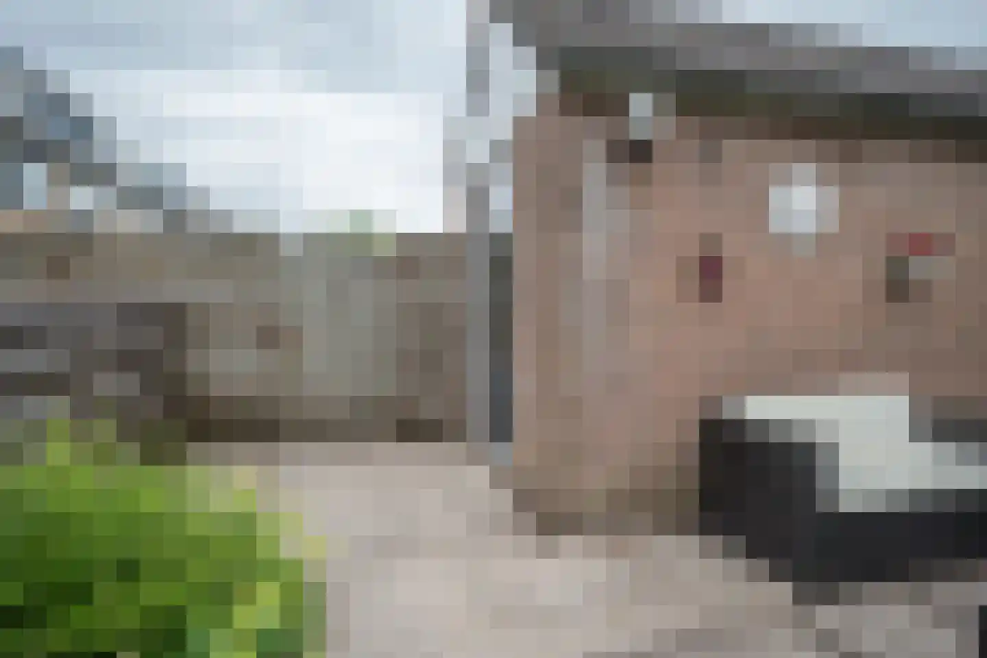 Grote Beer 6 Bleiswijk thumbnail 39