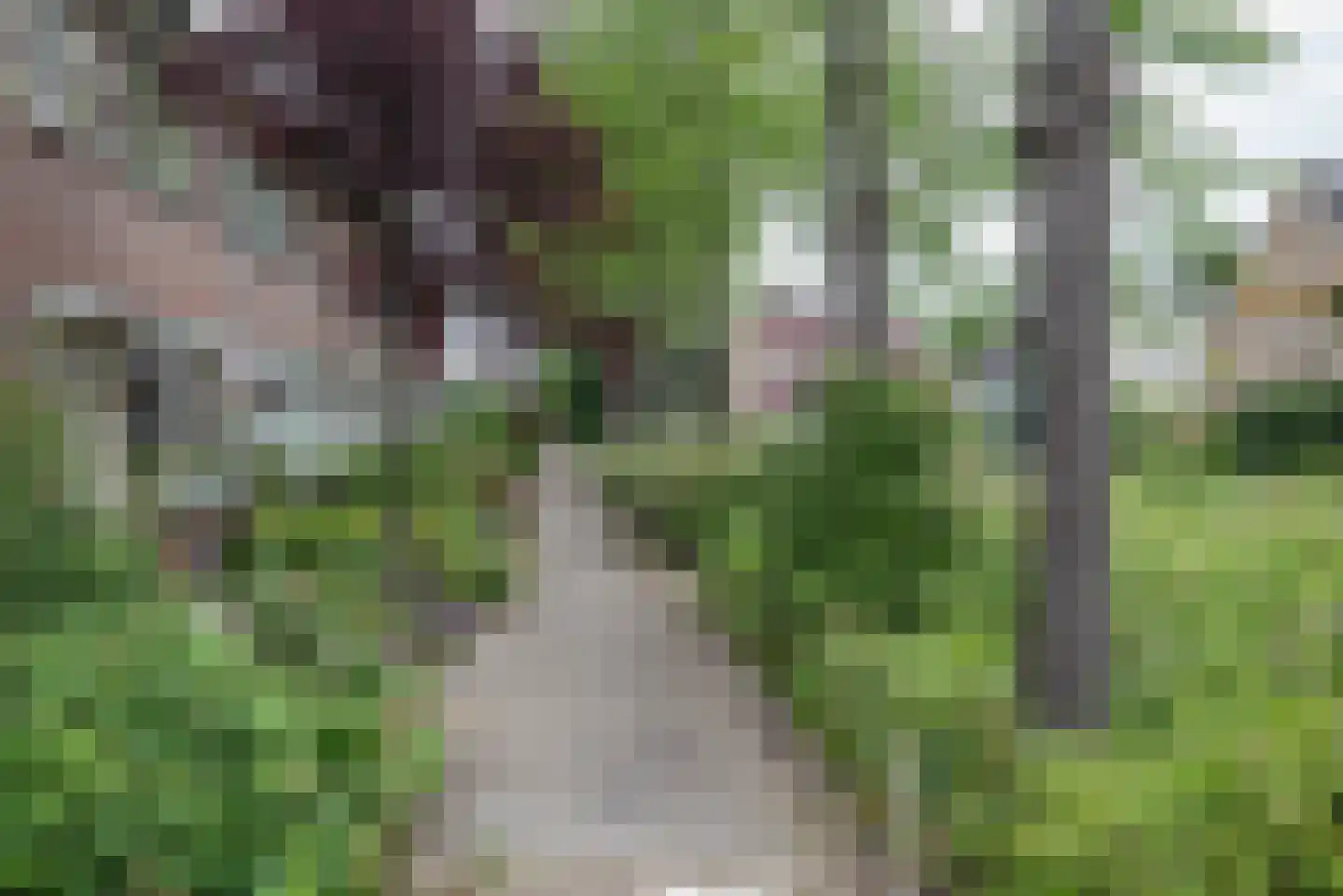 Grote Beer 6 Bleiswijk thumbnail 4