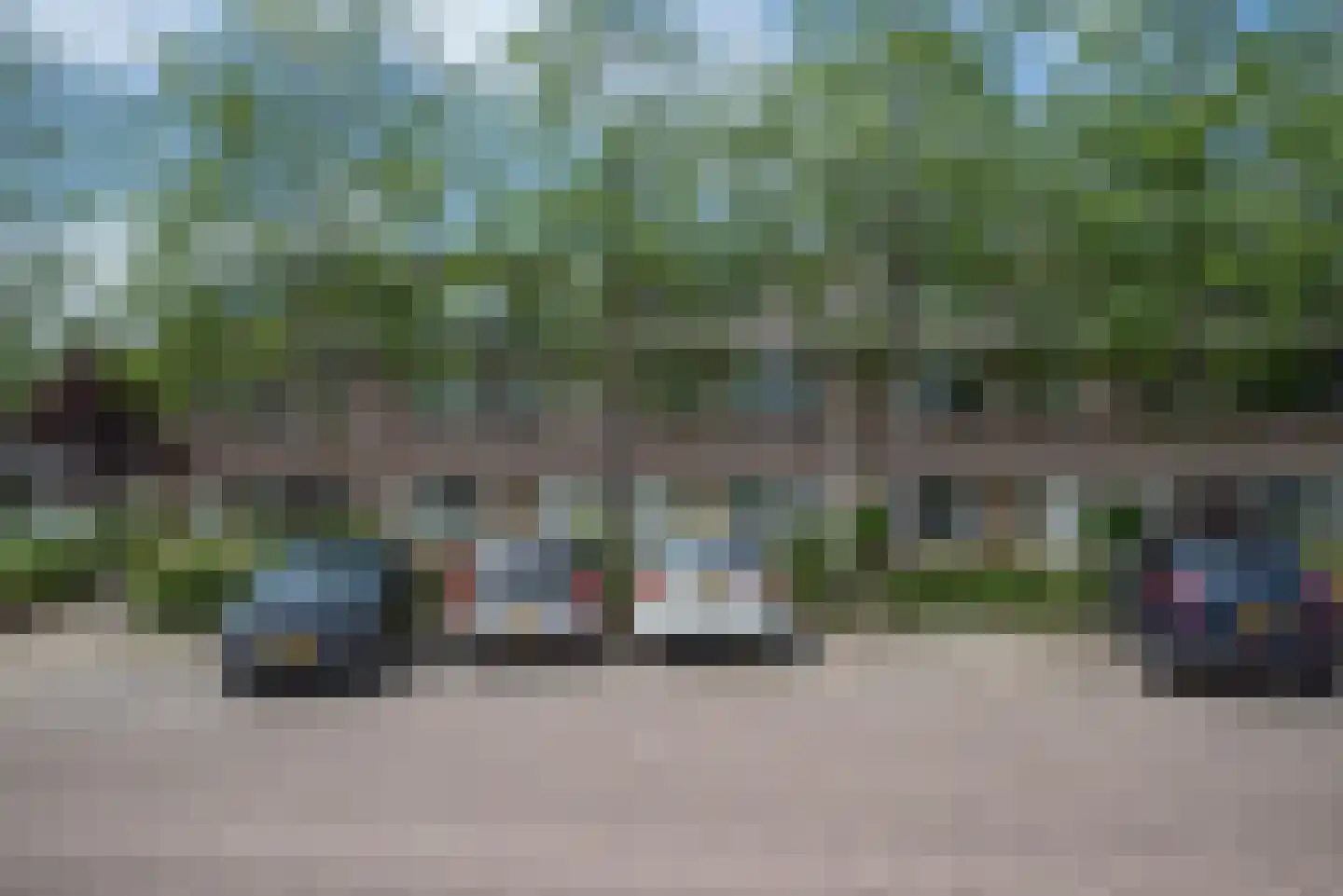 Grote Beer 6 Bleiswijk thumbnail 40