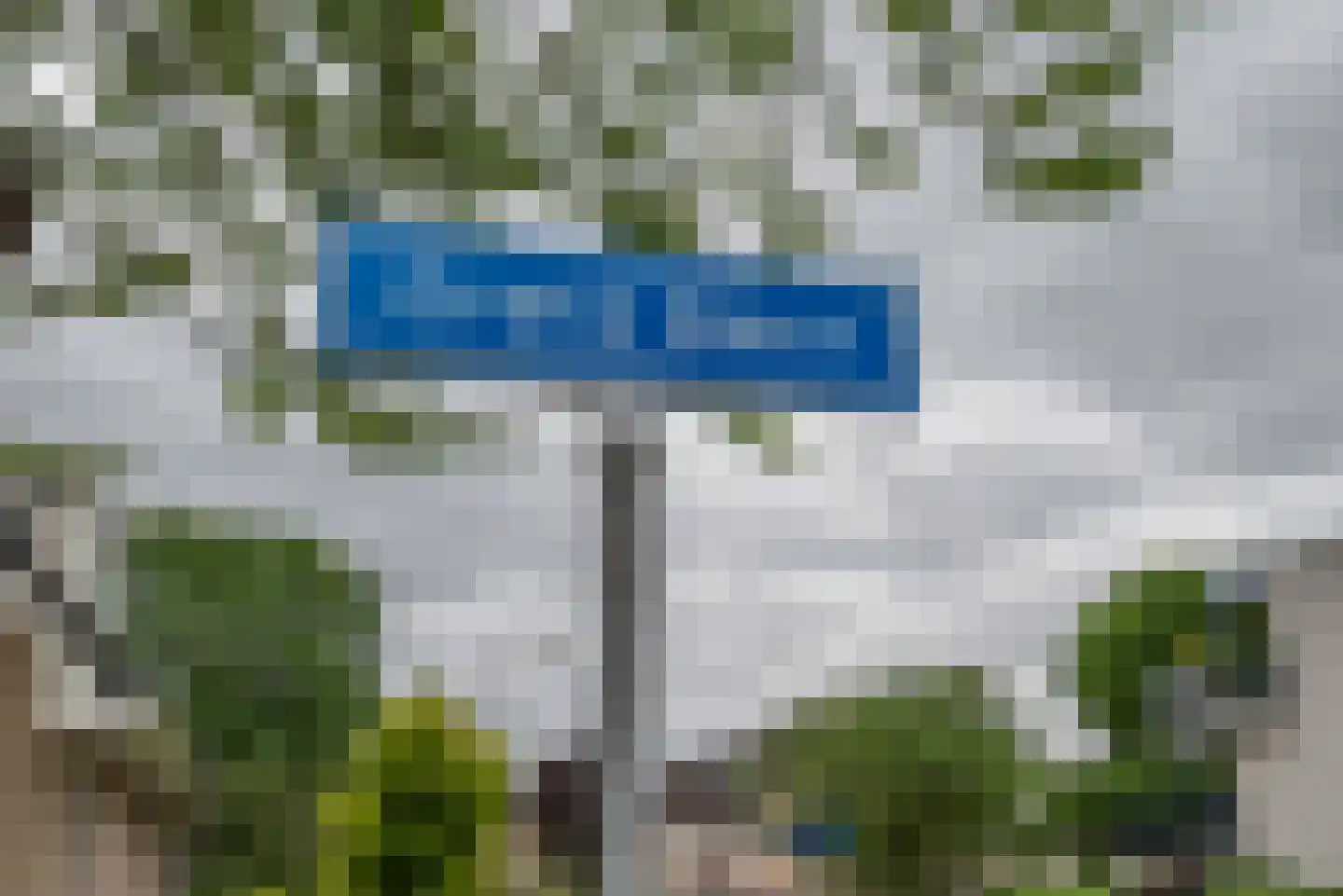 Grote Beer 6 Bleiswijk thumbnail 41