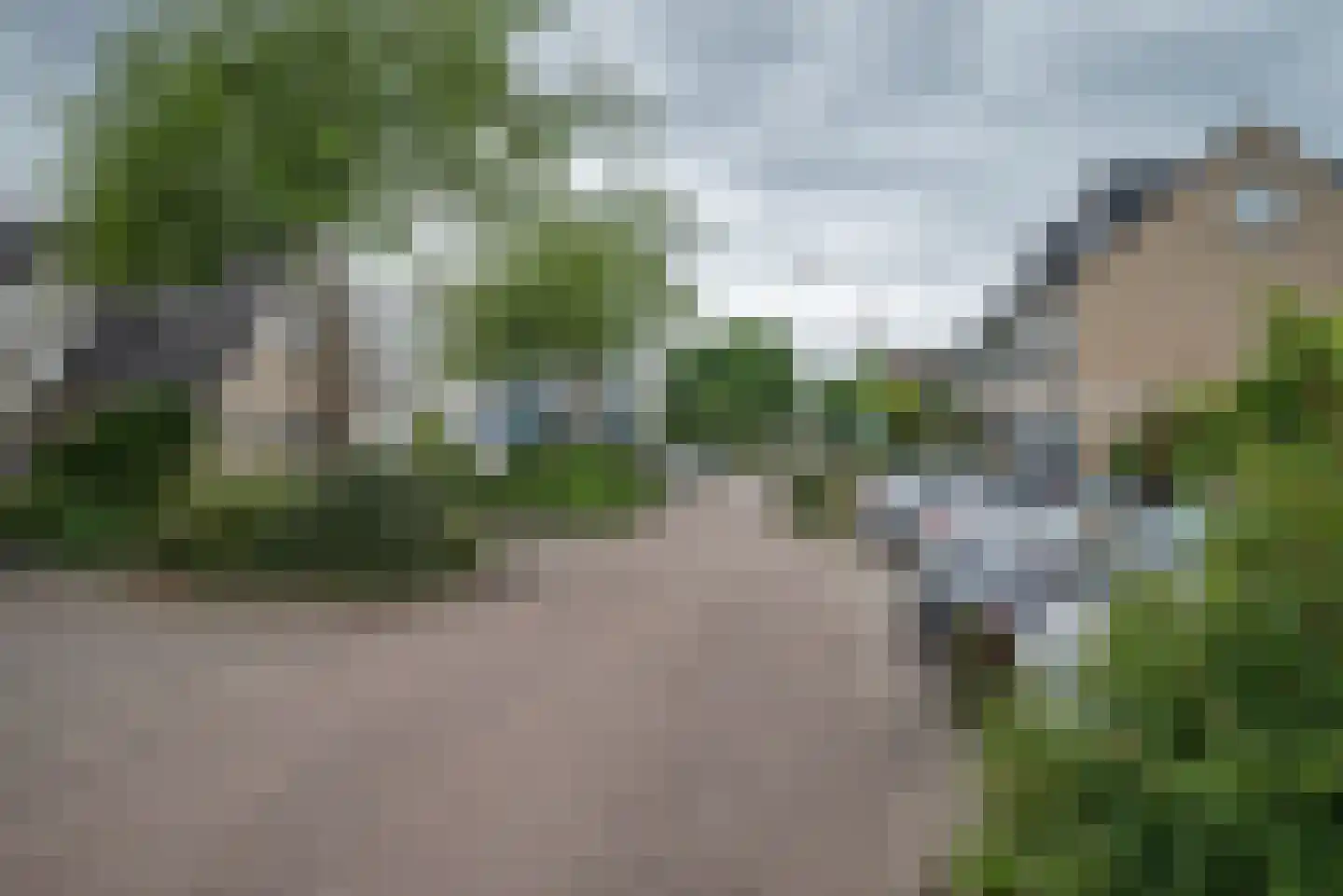 Grote Beer 6 Bleiswijk thumbnail 42