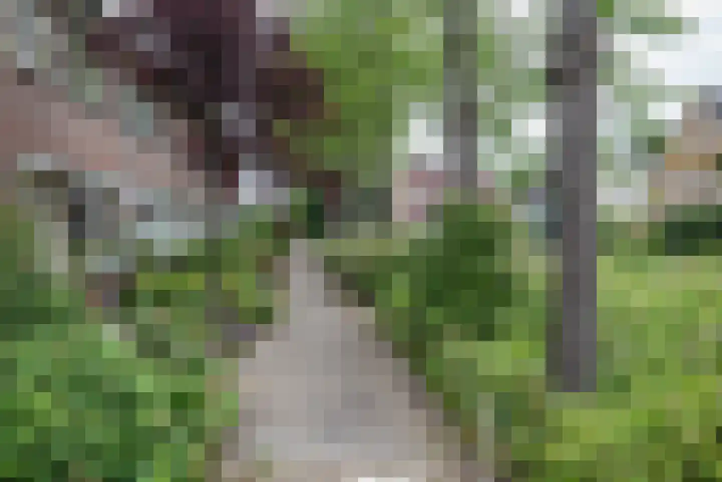 Grote Beer 6 Bleiswijk thumbnail 43