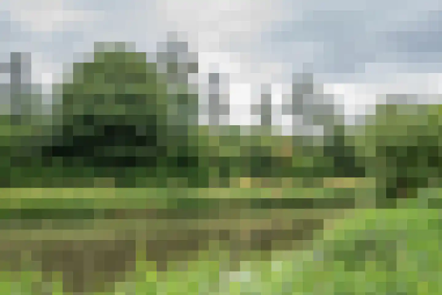 Grote Beer 6 Bleiswijk thumbnail 44