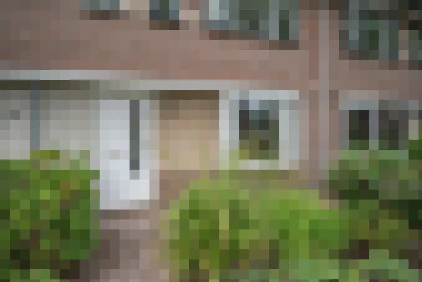 Grote Beer 6 Bleiswijk thumbnail 5