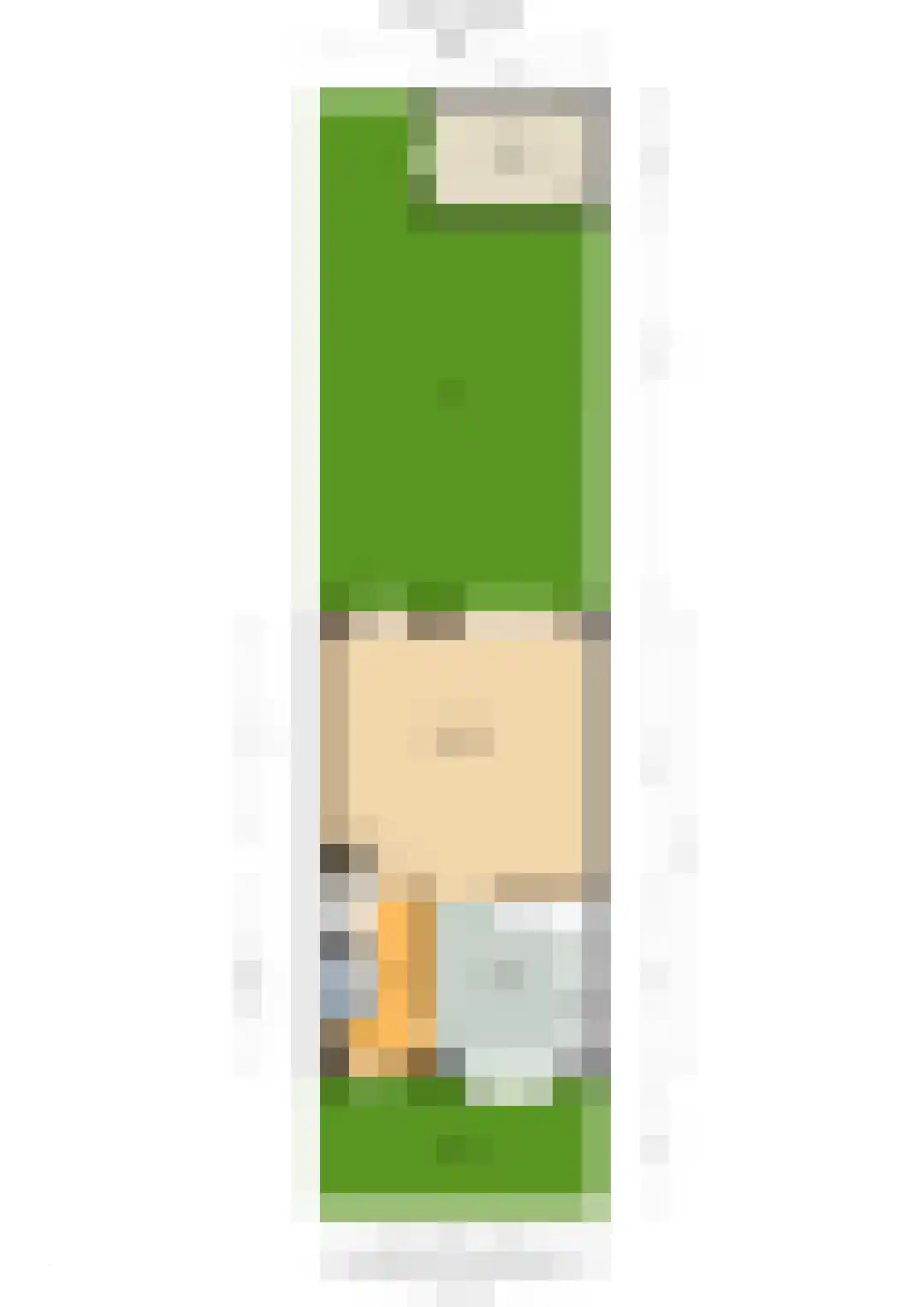 Grote Beer 6 Bleiswijk thumbnail 50