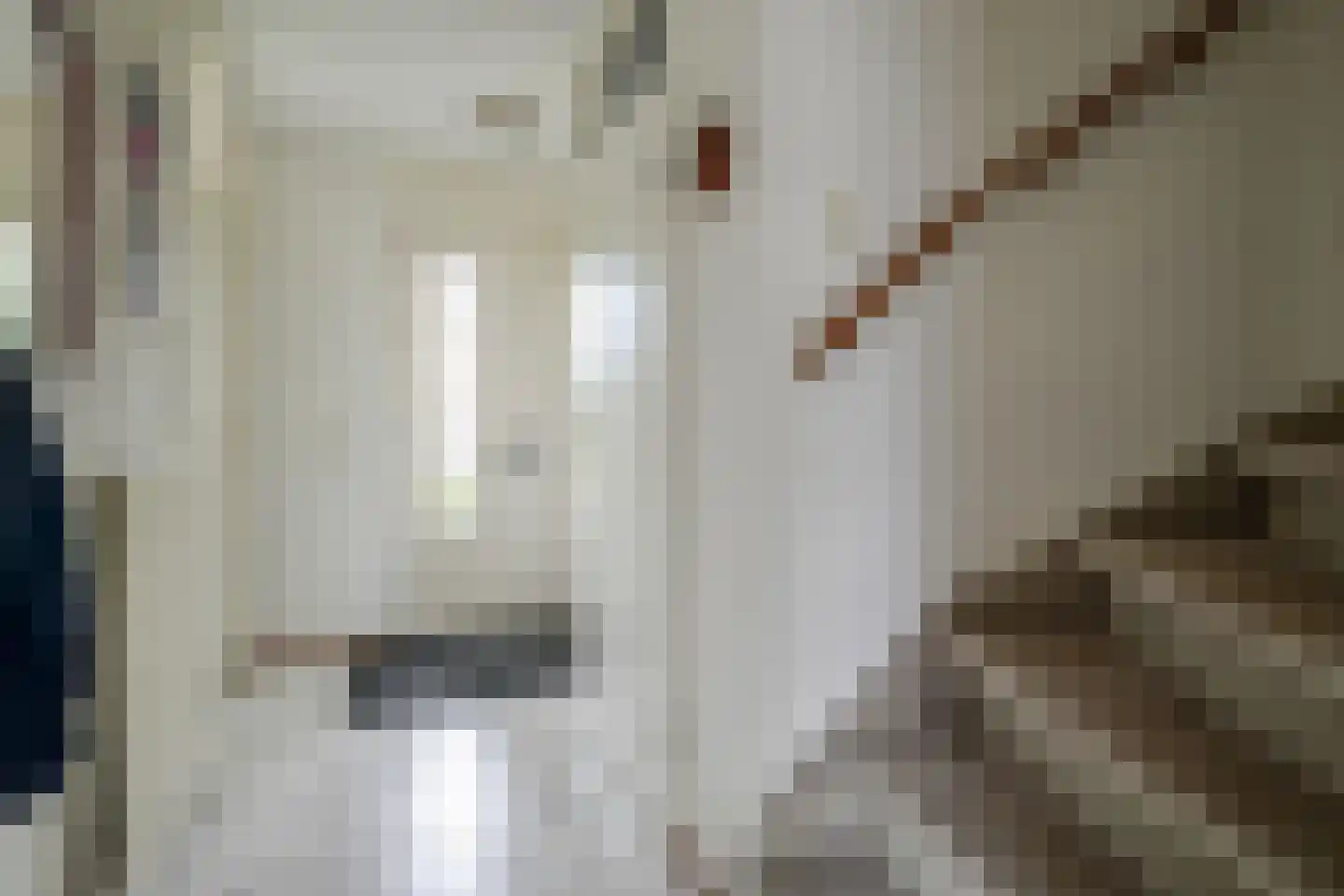 Grote Beer 6 Bleiswijk thumbnail 6