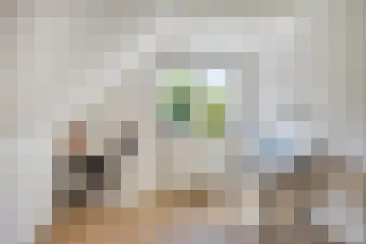 Grote Beer 75 Zeewolde thumbnail 38