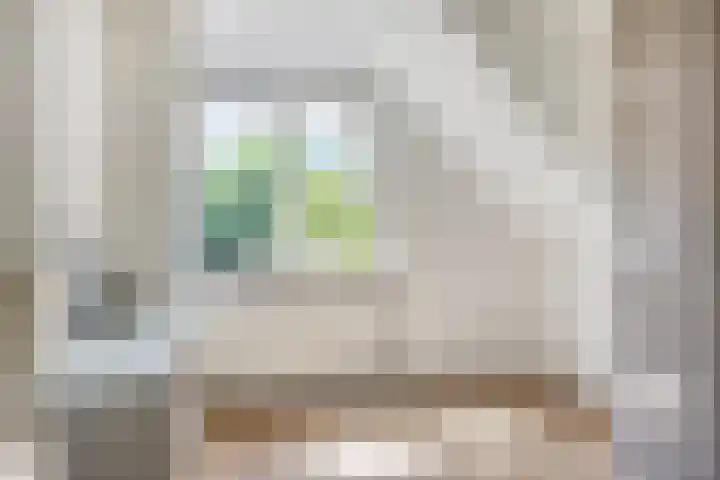 Grote Beer 75 Zeewolde thumbnail 39