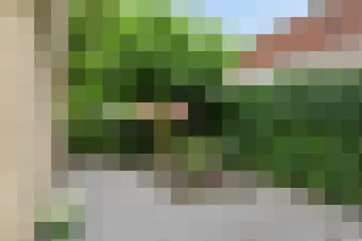 Grote Beer 75 Zeewolde thumbnail 47