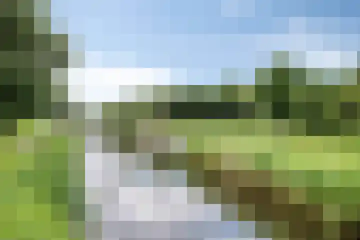 Grote Beer 75 Zeewolde thumbnail 48