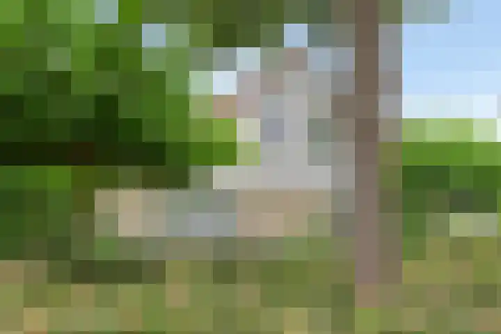 Grote Beer 75 Zeewolde thumbnail 6