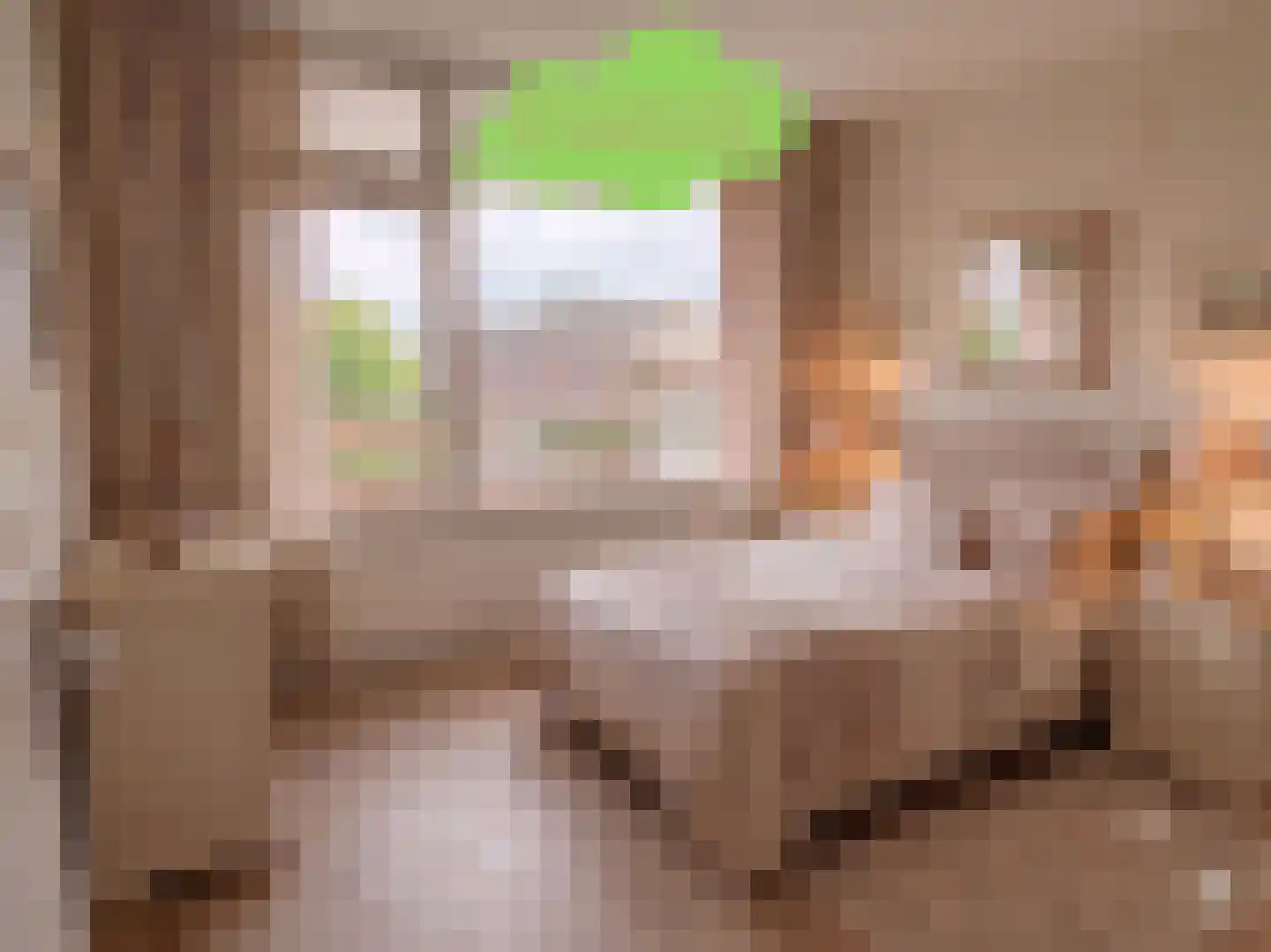 Grote Beer 8 022 Oostburg thumbnail 12