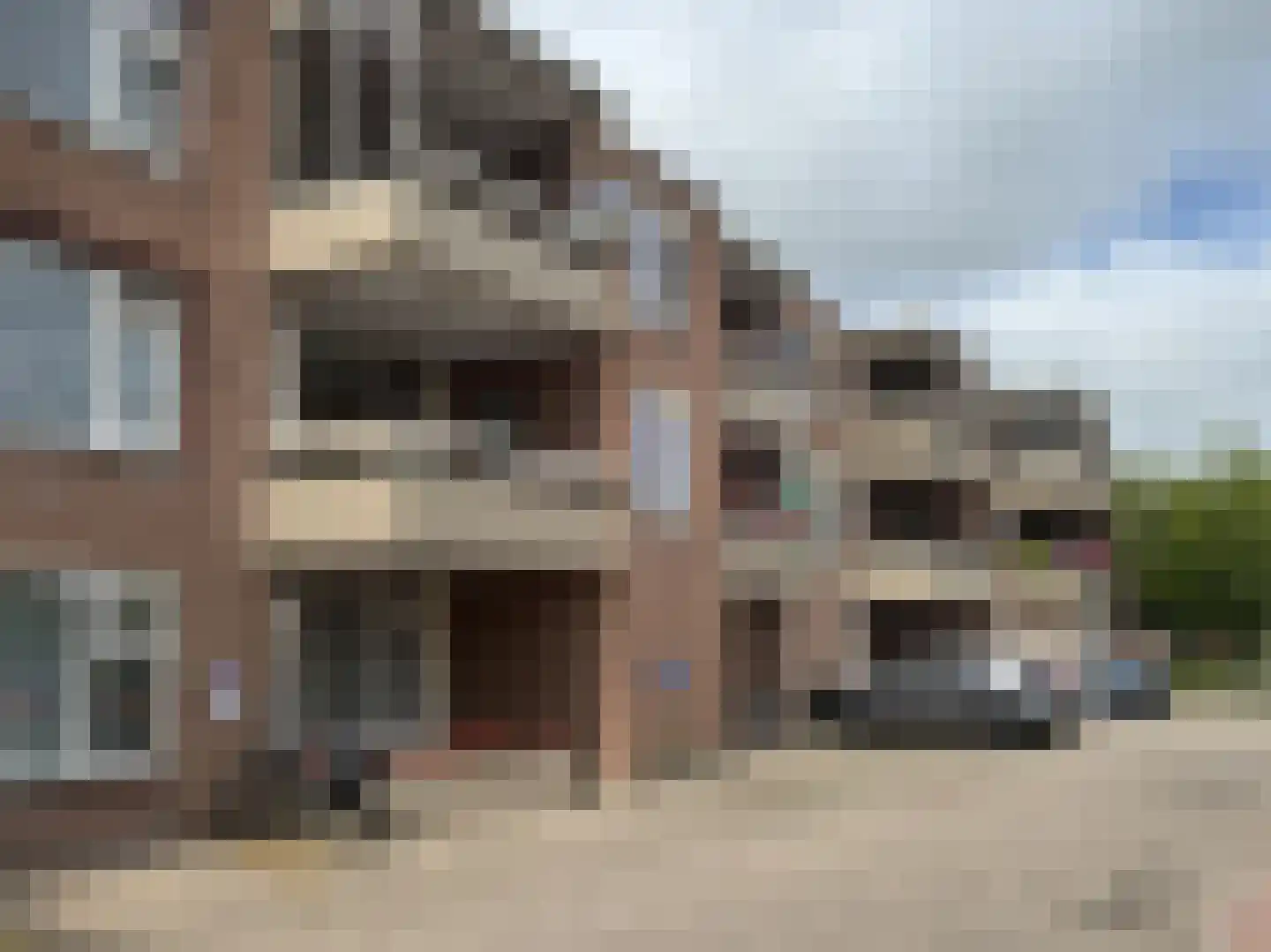 Grote Beer 8 022 Oostburg thumbnail 22