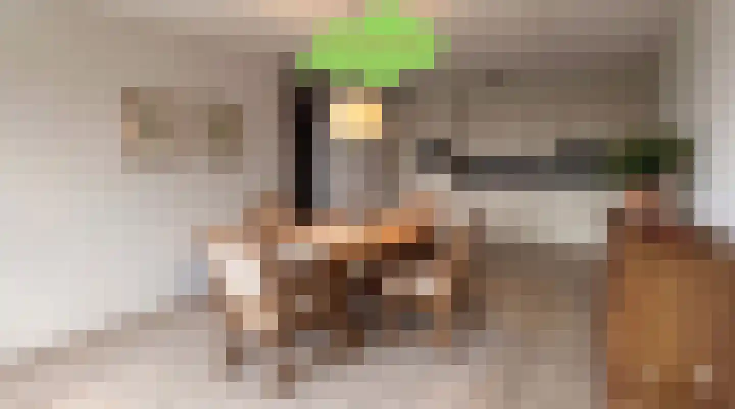 Grote Beer 8 022 Oostburg thumbnail 8