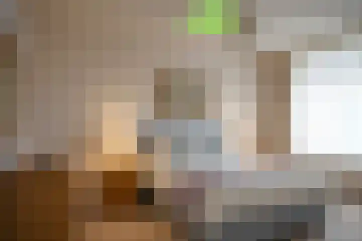 Grote Beer 8 029 Oostburg thumbnail 10