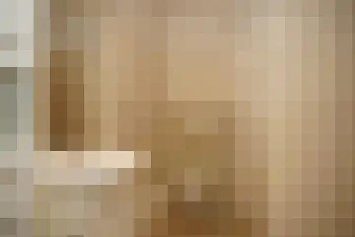 Grote Beer 8 029 Oostburg thumbnail 13