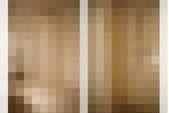 Grote Beer 8 029 Oostburg thumbnail 14