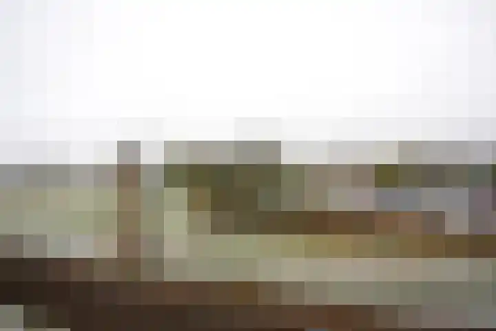 Grote Beer 8 029 Oostburg thumbnail 19