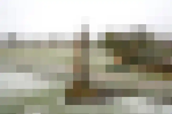 Grote Beer 8 029 Oostburg thumbnail 20