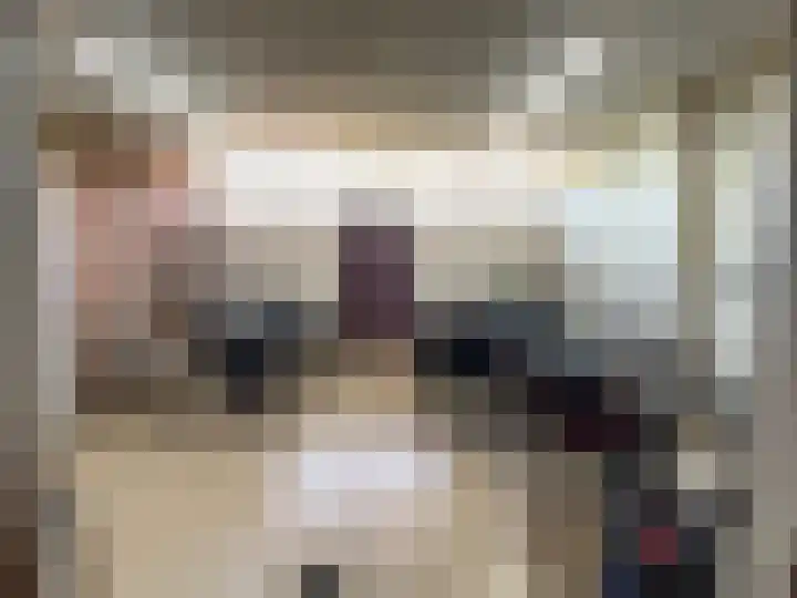 Grote Beer 8 029 Oostburg thumbnail 23