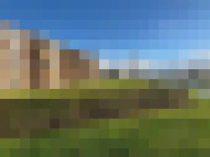 Grote Beer 8 029 Oostburg thumbnail 25
