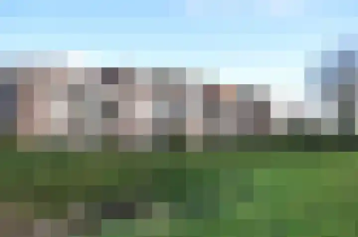 Grote Beer 8 029 Oostburg thumbnail 26