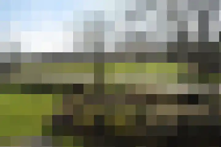 Grote Beer 8 029 Oostburg thumbnail 27