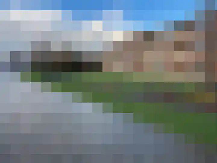 Grote Beer 8 029 Oostburg thumbnail 28