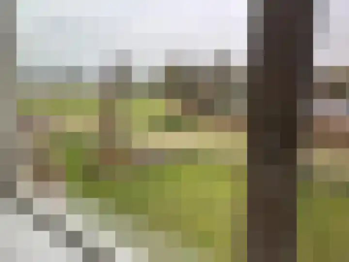 Grote Beer 8 029 Oostburg thumbnail 4