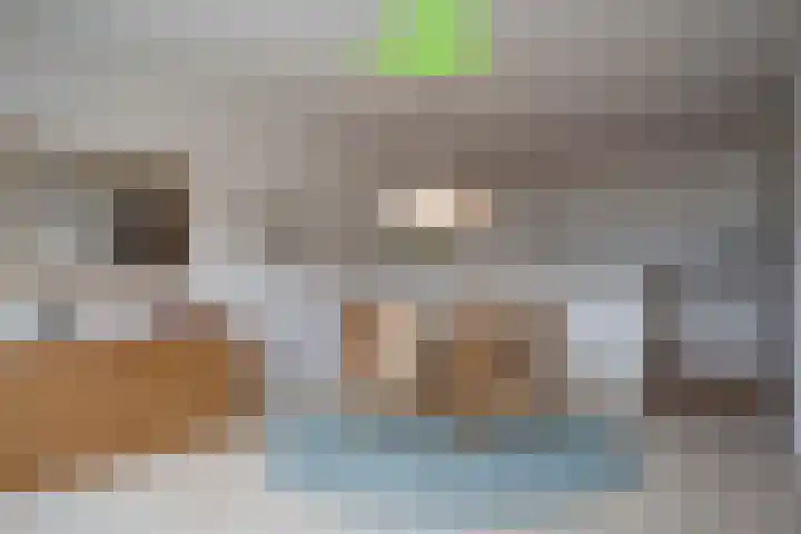 Grote Beer 8 029 Oostburg thumbnail 5