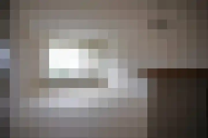 Grote Beer 8 029 Oostburg thumbnail 9