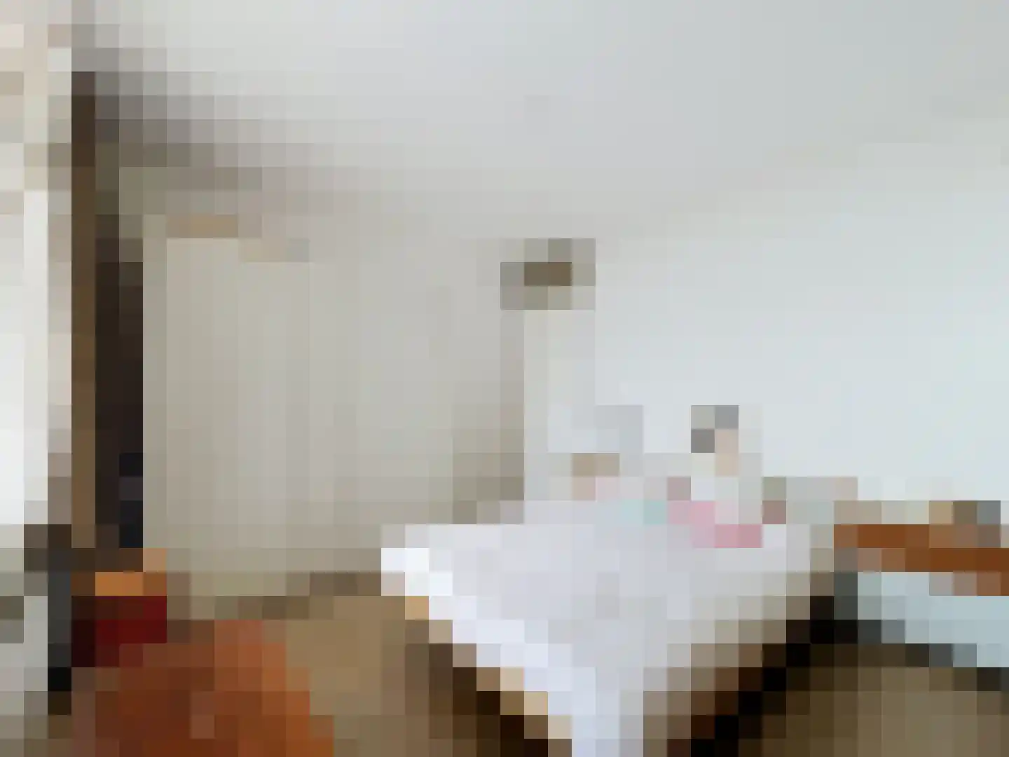 Grote Beer 8 031 Oostburg thumbnail 13