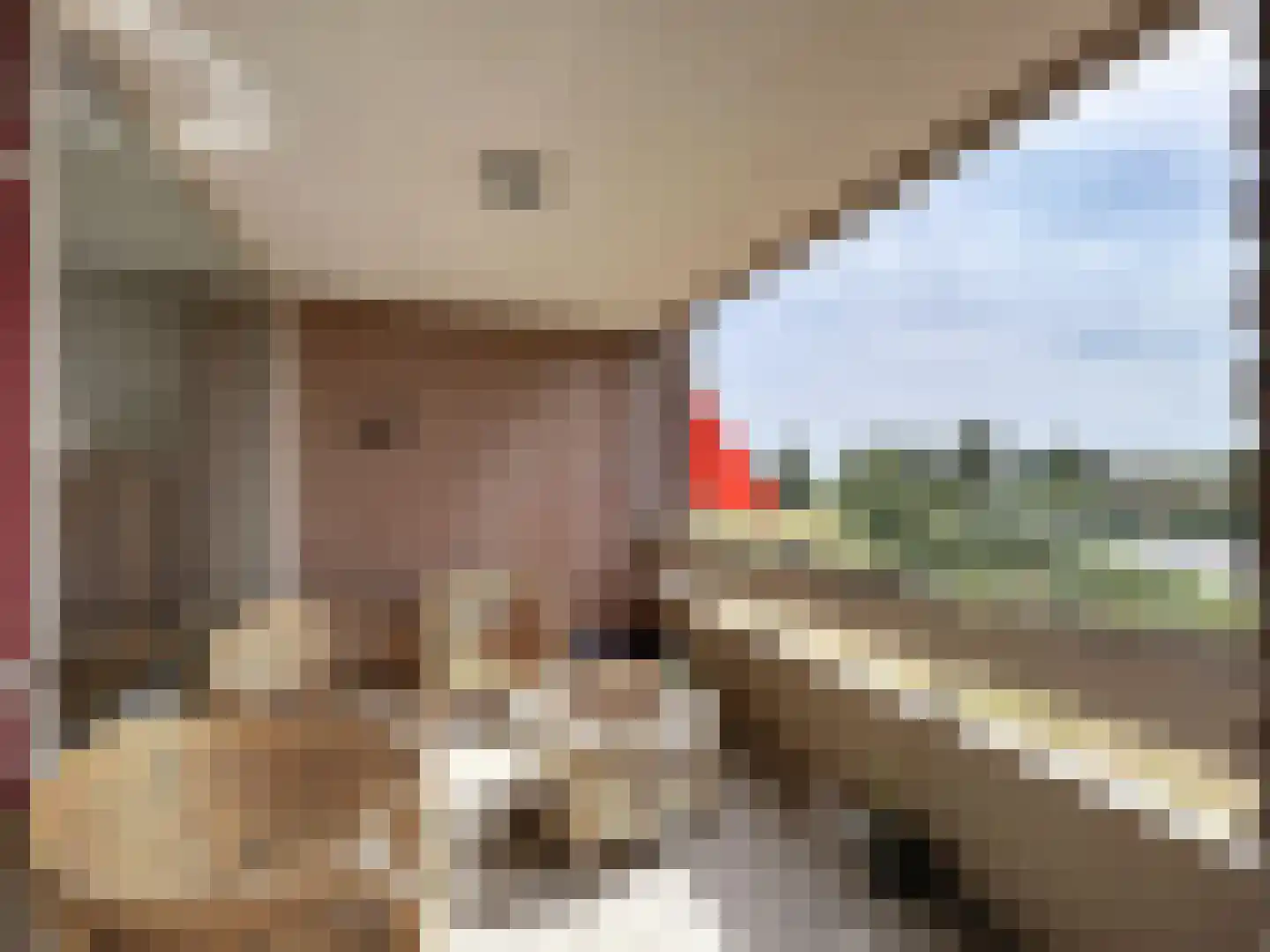 Grote Beer 8 031 Oostburg thumbnail 16