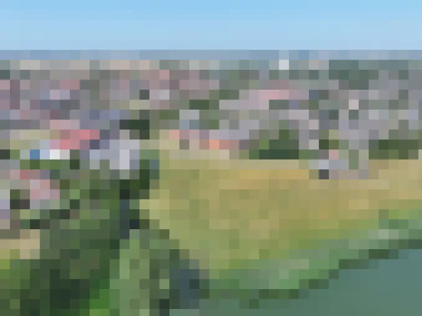 Grote Beer 8 031 Oostburg thumbnail 19