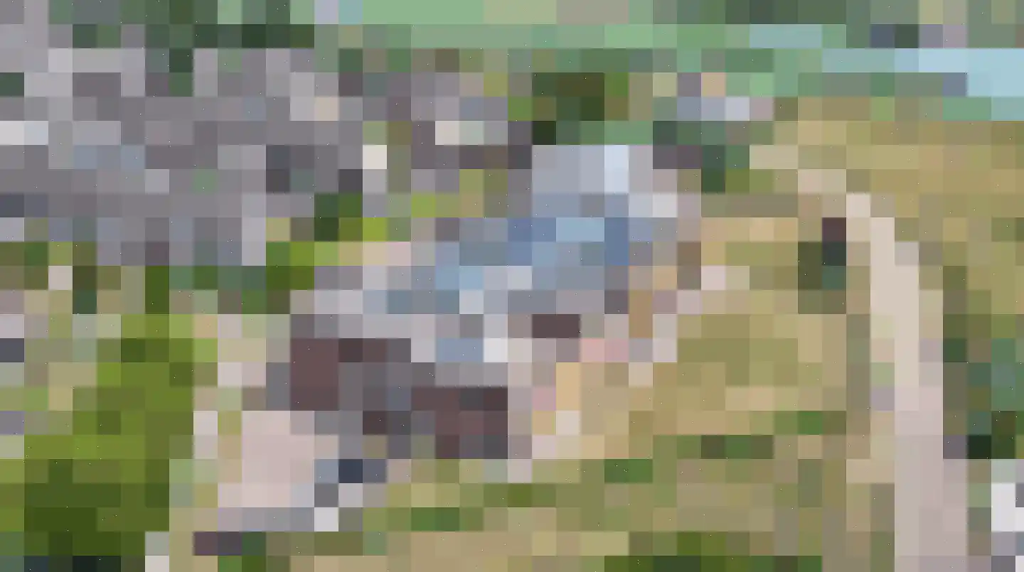 Grote Beer 8 031 Oostburg thumbnail 20