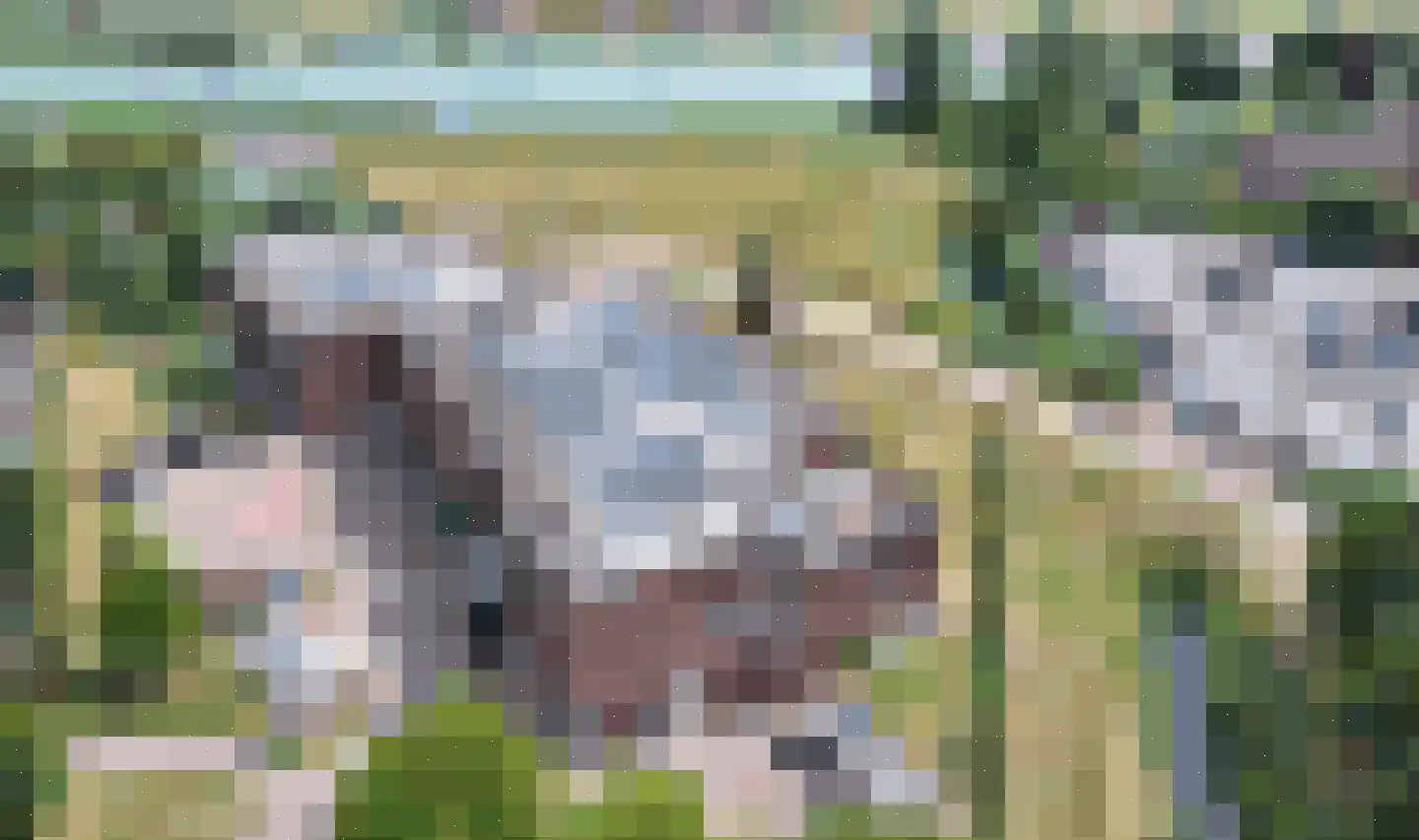 Grote Beer 8 031 Oostburg thumbnail 21