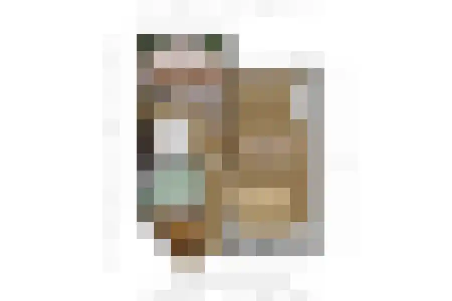 Grote Beer 8 031 Oostburg thumbnail 22