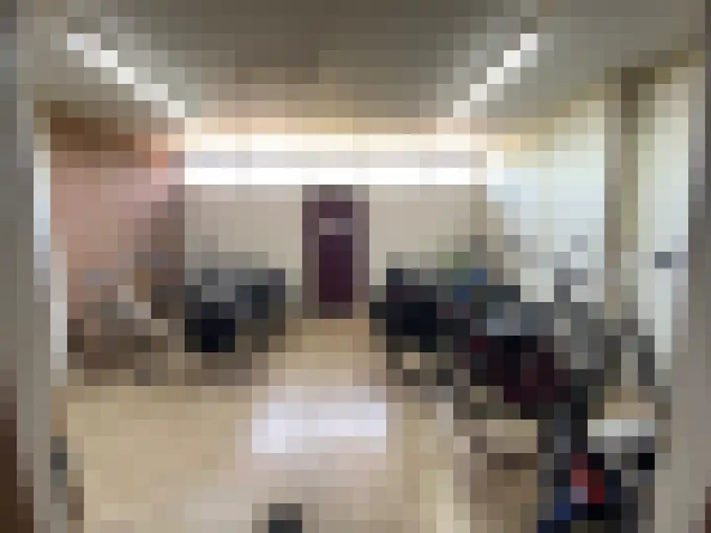 Grote Beer 8 033 Oostburg thumbnail 19
