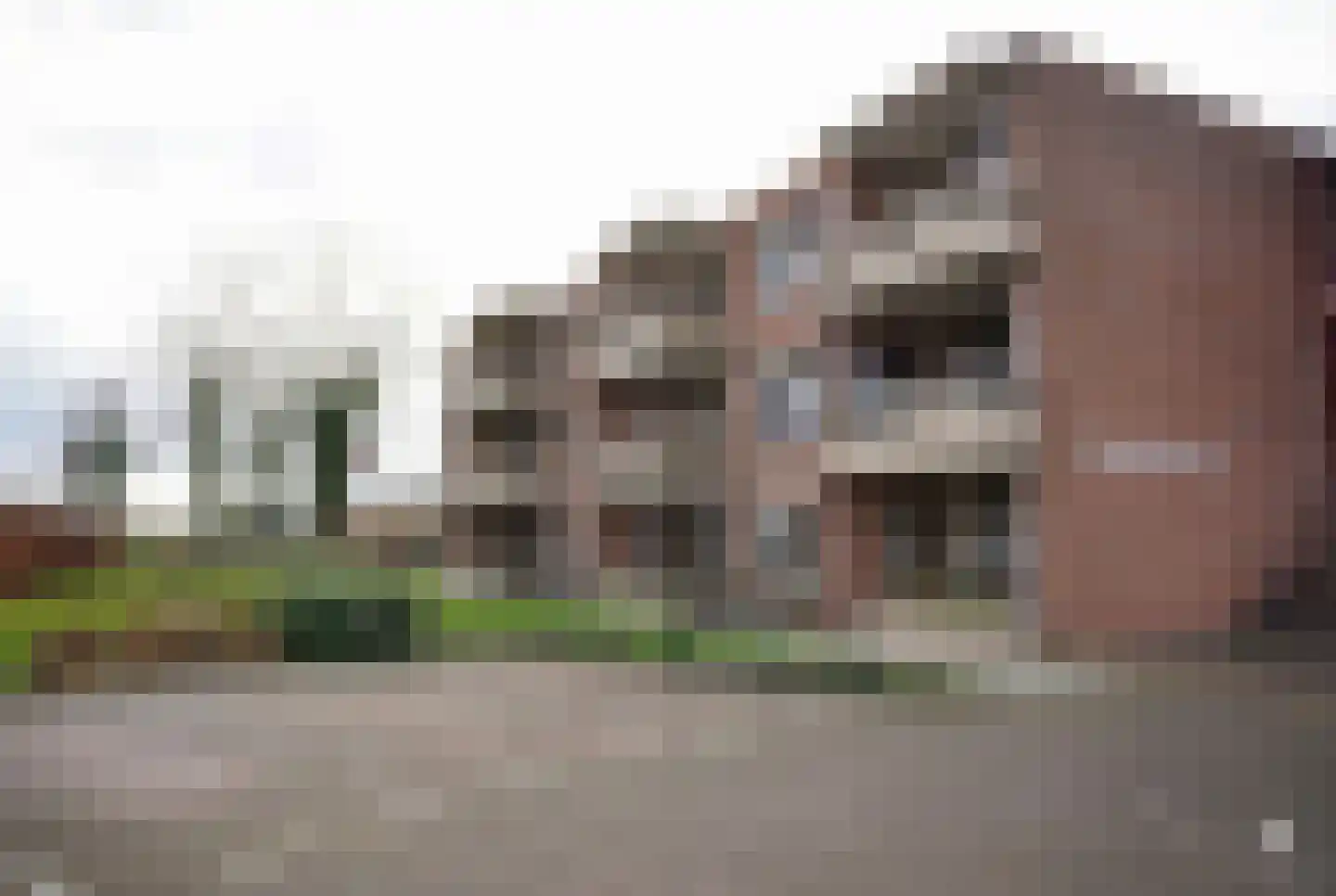 Grote Beer 8 033 Oostburg thumbnail 21