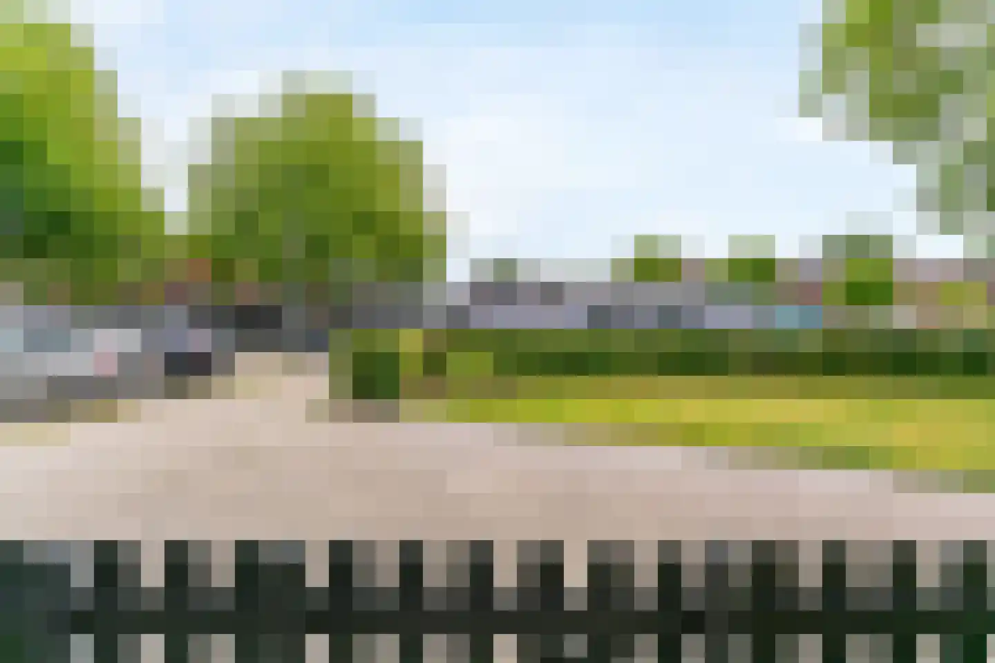 Grote Beer 8 Hoorn thumbnail 14