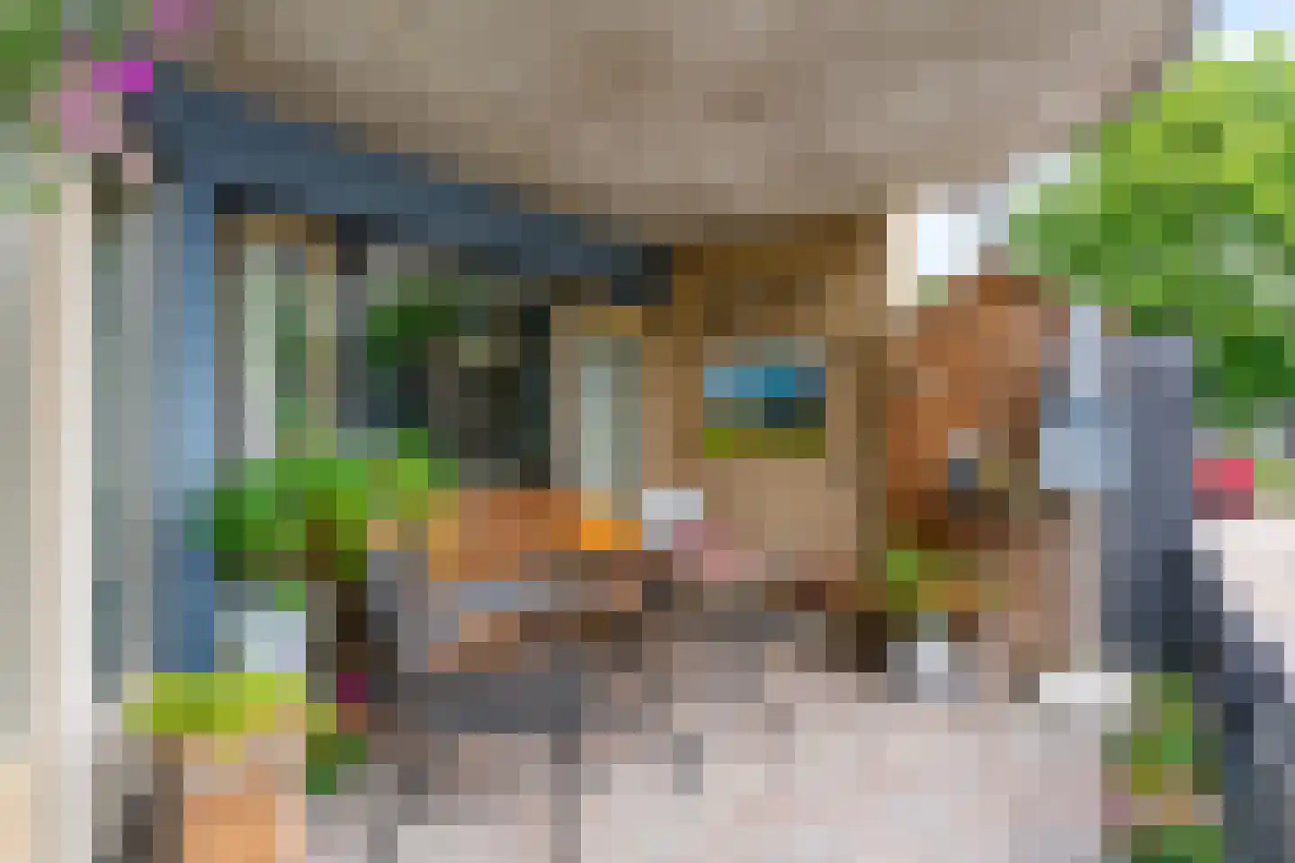 Grote Beer 8 Hoorn thumbnail 15