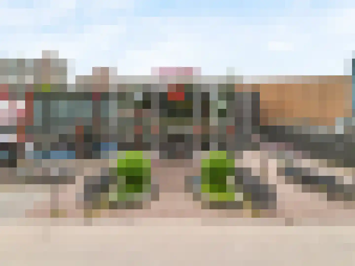 Grote Beer 8 Hoorn thumbnail 27
