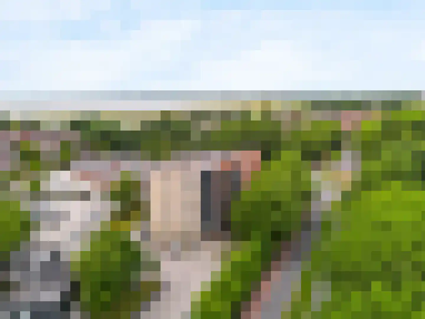 Grote Beer 8 Hoorn thumbnail 29