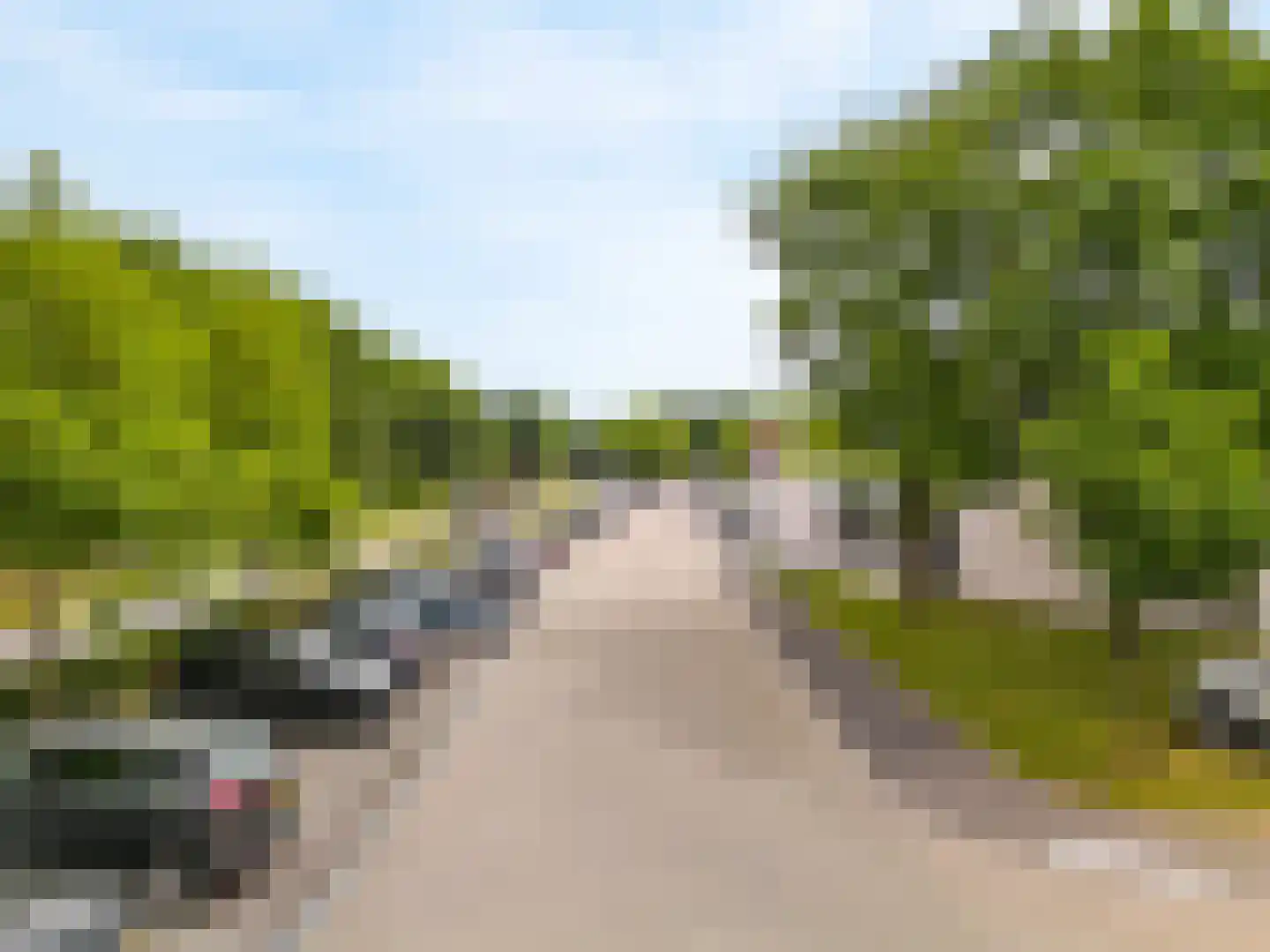 Grote Beer 8 Hoorn thumbnail 31