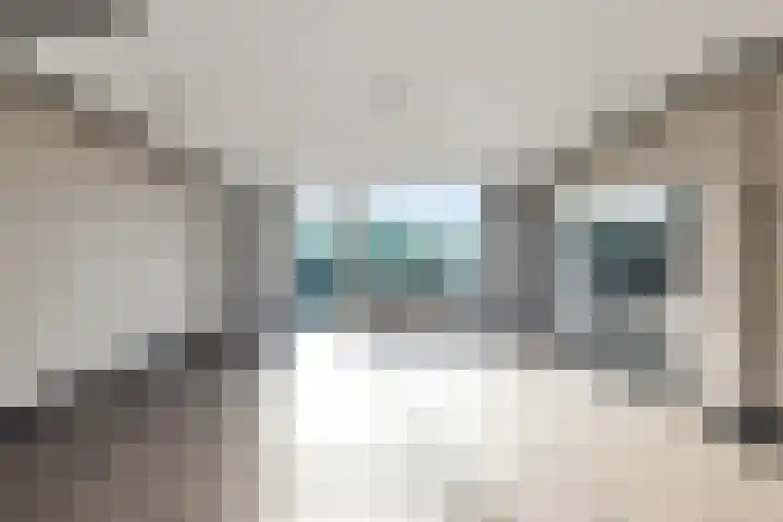 Grote Beer 9 Hoogeveen thumbnail 14