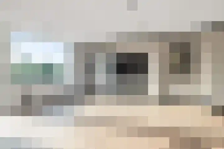Grote Beer 9 Hoogeveen thumbnail 15