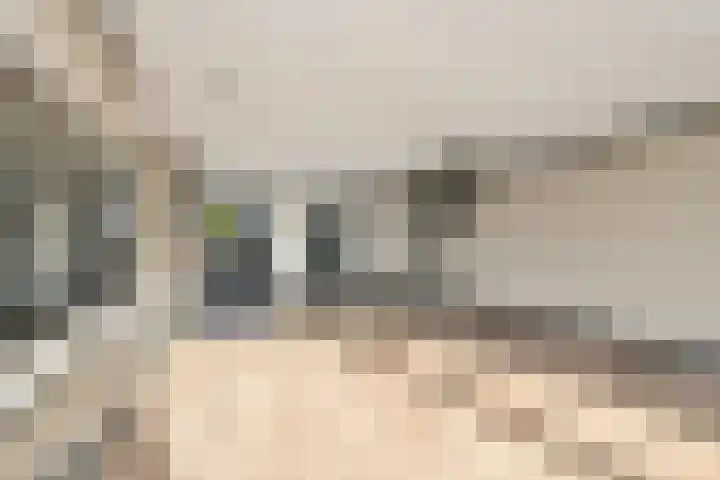 Grote Beer 9 Hoogeveen thumbnail 16