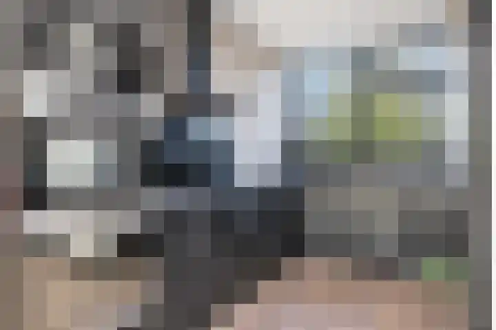 Grote Beer 9 Hoogeveen thumbnail 20