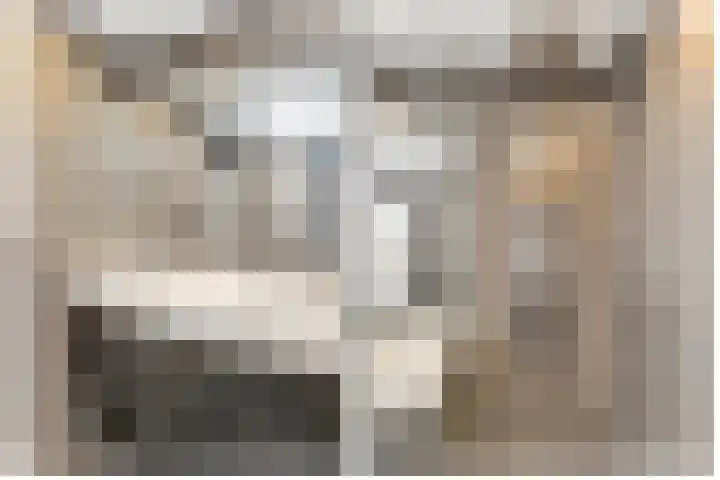 Grote Beer 9 Hoogeveen thumbnail 24
